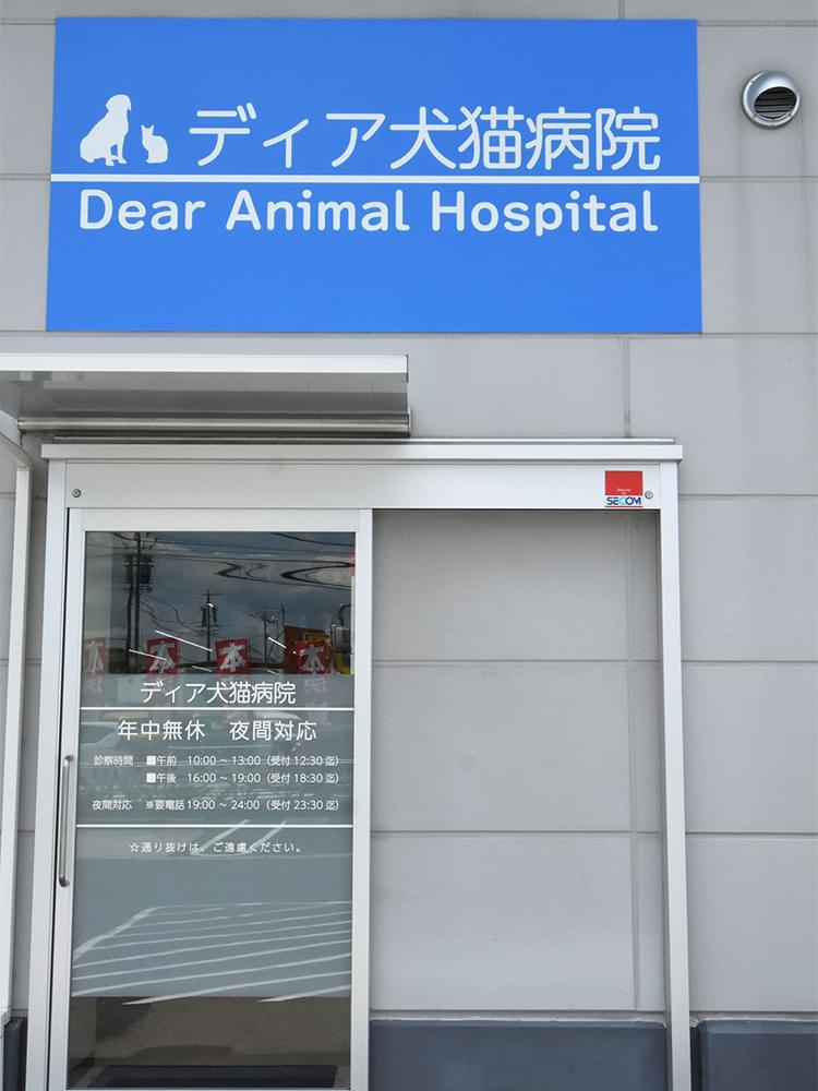 ディア犬猫病院