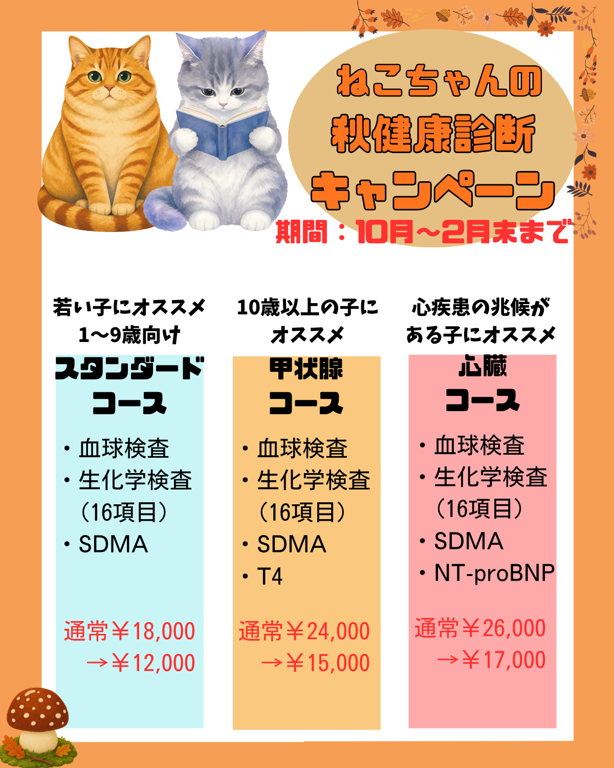 ねこちゃんの秋健康診断キャンペーン